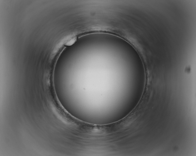 X0000116790060200912181304