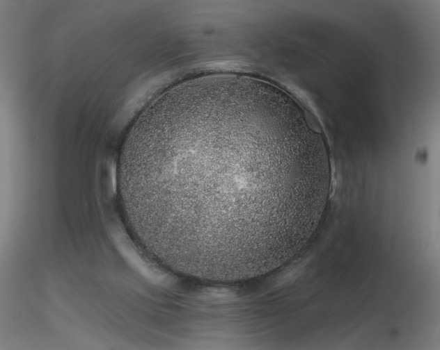 X0000116790061200912181304