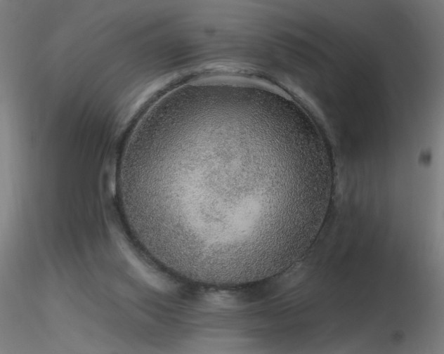 X0000116790062200912181304