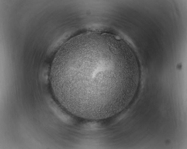 X0000116790065200912181304