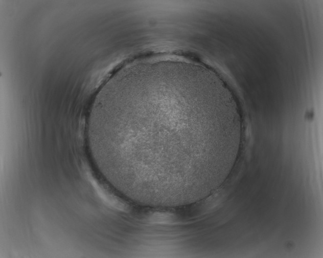 X0000116790066200912181304