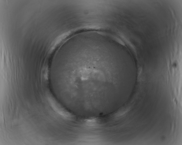 X0000116790068200912181304