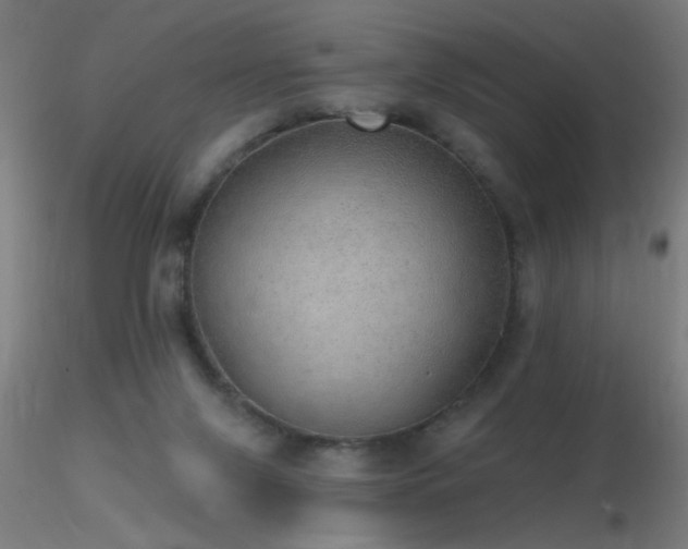 X0000116790071200912181304