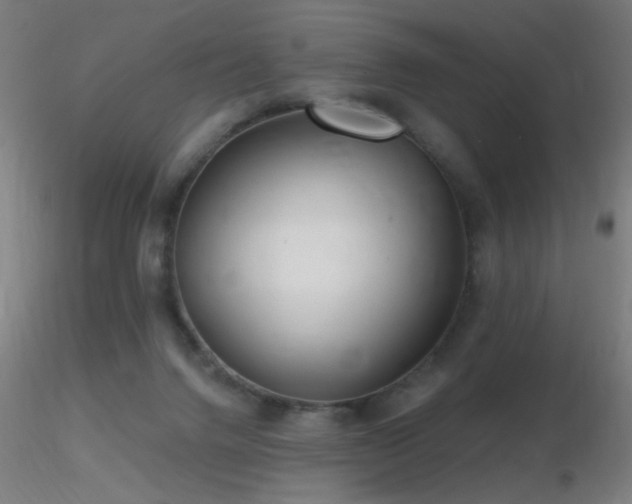 X0000116790072200912181304