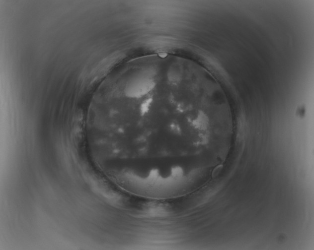 X0000116790073200912181304