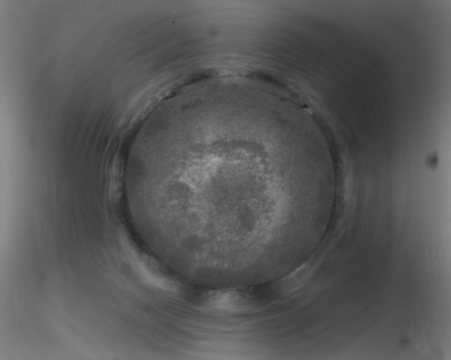 X0000116790074200912181304