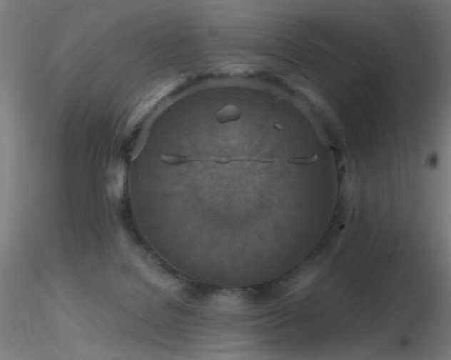 X0000116790076200912181304