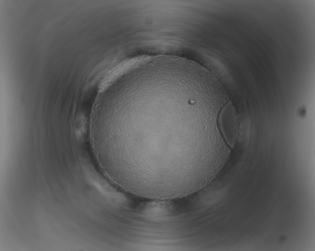 X0000116790077200912181304