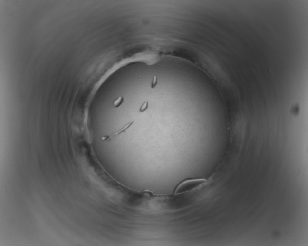 X0000116790078200912181304