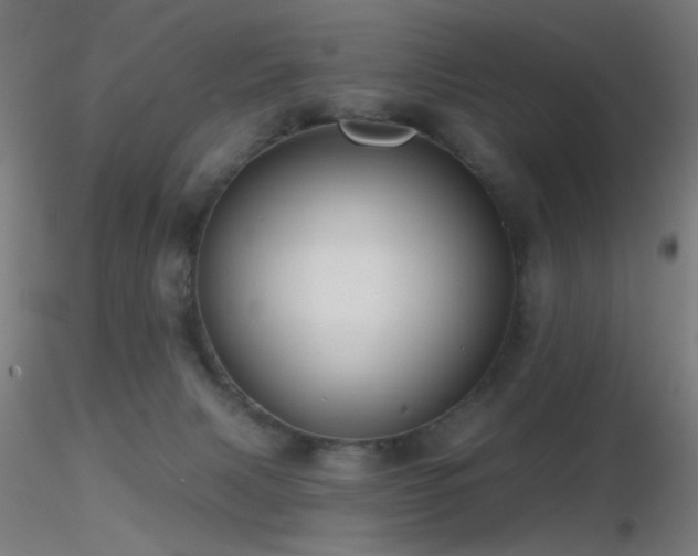 X0000116790079200912181304