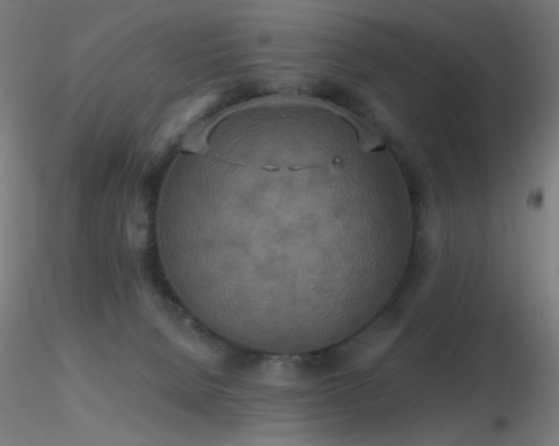 X0000116790080200912181304