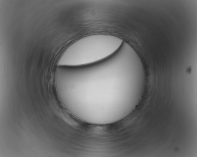 X0000116790081200912181304