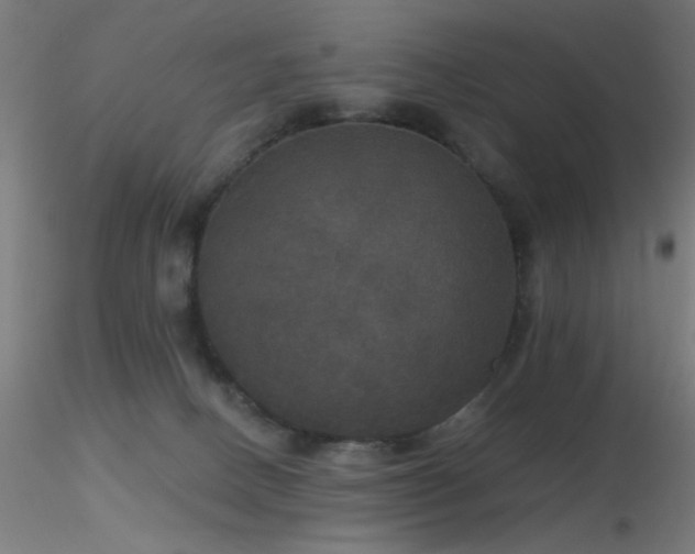 X0000116790082200912181304