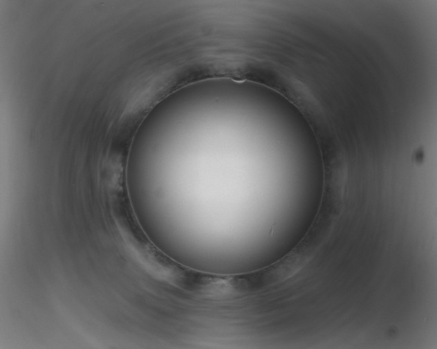 X0000116790083200912181304