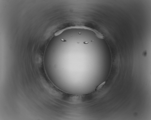 X0000116790084200912181304