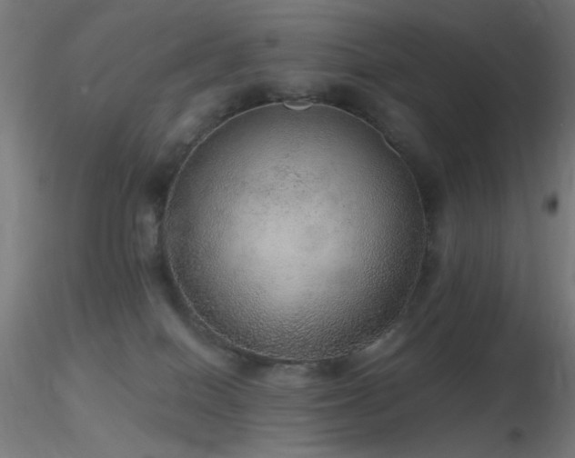 X0000116790086200912181304