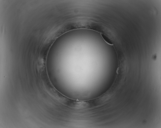 X0000116790087200912181304