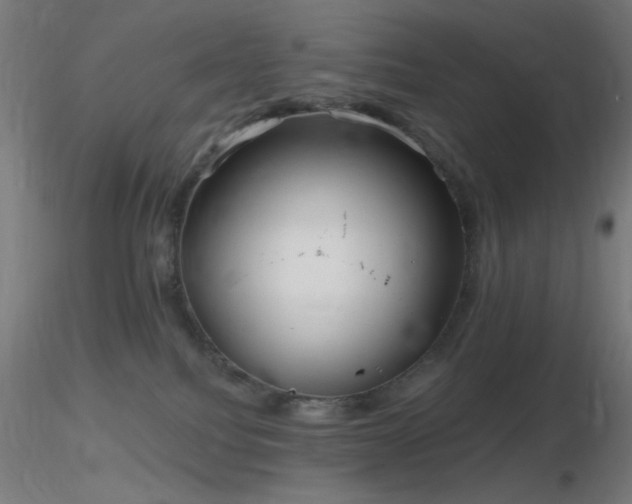 X0000116790088200912181304