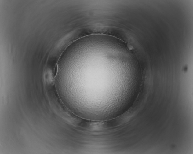 X0000116790089200912181304