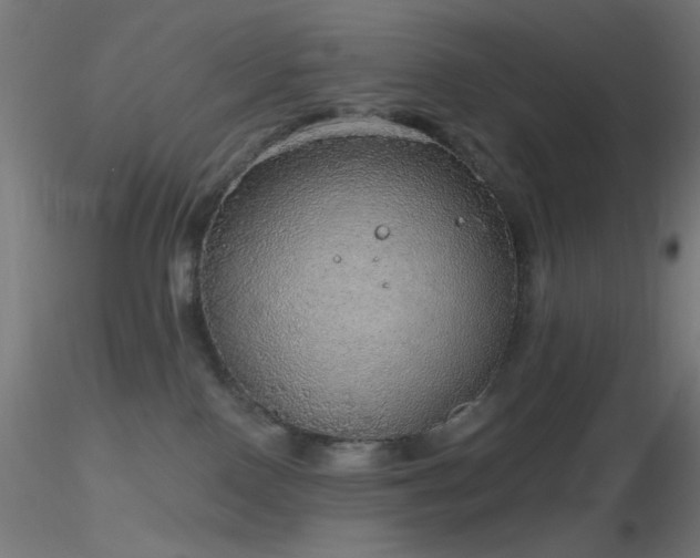 X0000116790090200912181304