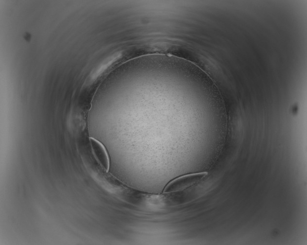 X0000116790091200912181304