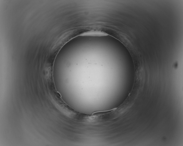 X0000116790092200912181304