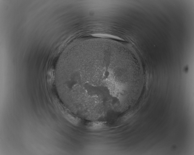 X0000116790093200912181304