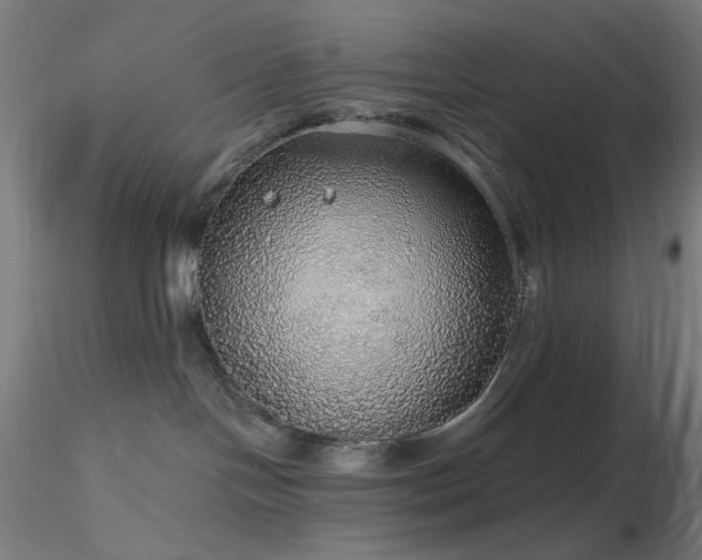 X0000116790094200912181304