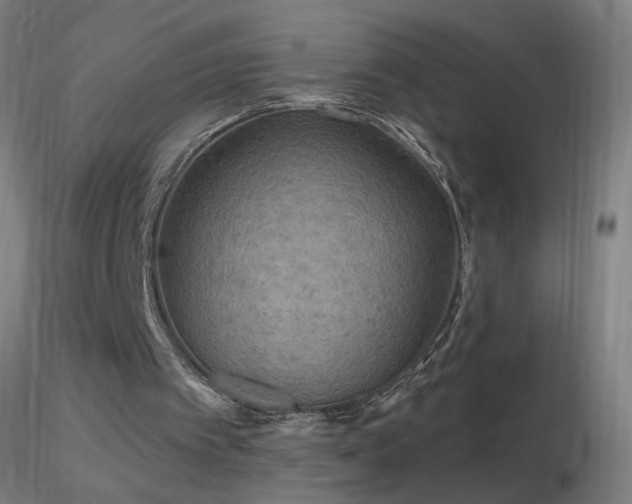 X0000116790097200912181304