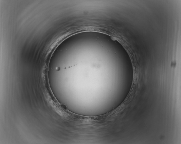 X0000116790098200912181304