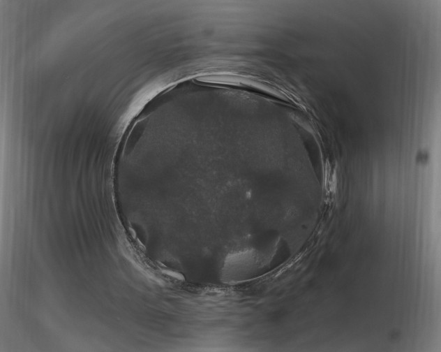 X0000116790099200912181304