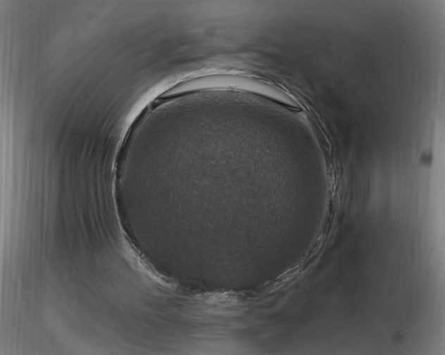 X0000116790100200912181304