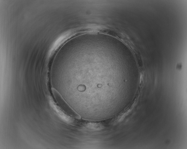 X0000116790101200912181304