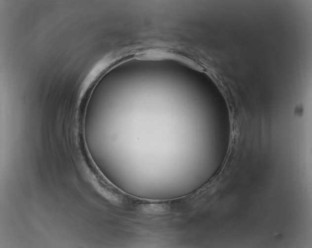 X0000116790102200912181304