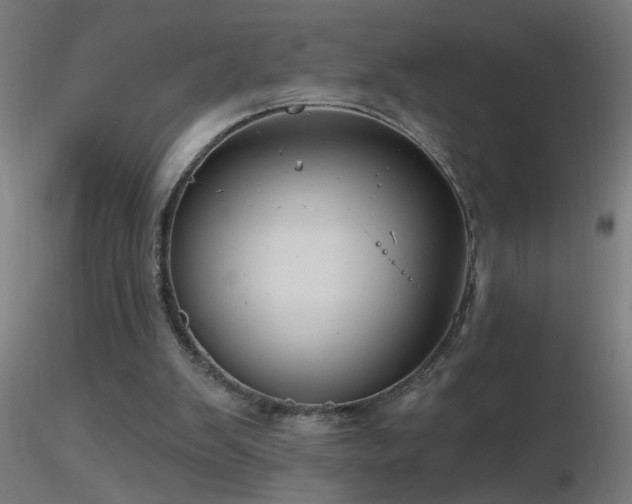 X0000116790103200912181304