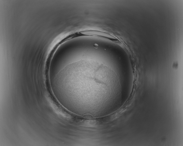 X0000116790104200912181304