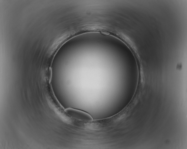 X0000116790105200912181304