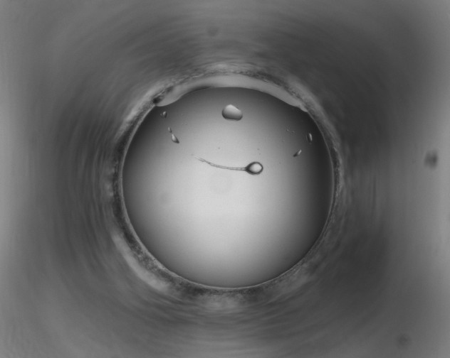 X0000116790106200912181303