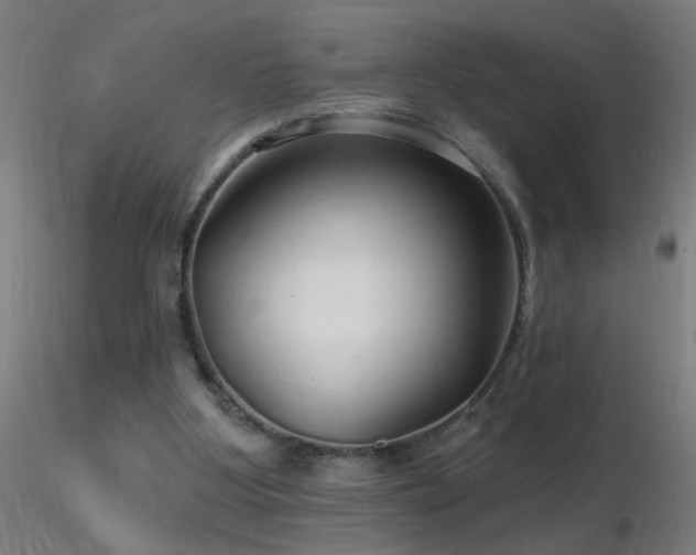 X0000116790107200912181303