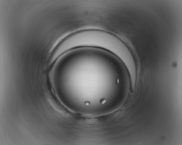 X0000116790108200912181303