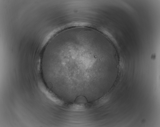 X0000116790110200912181303