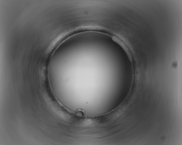 X0000116790111200912181303