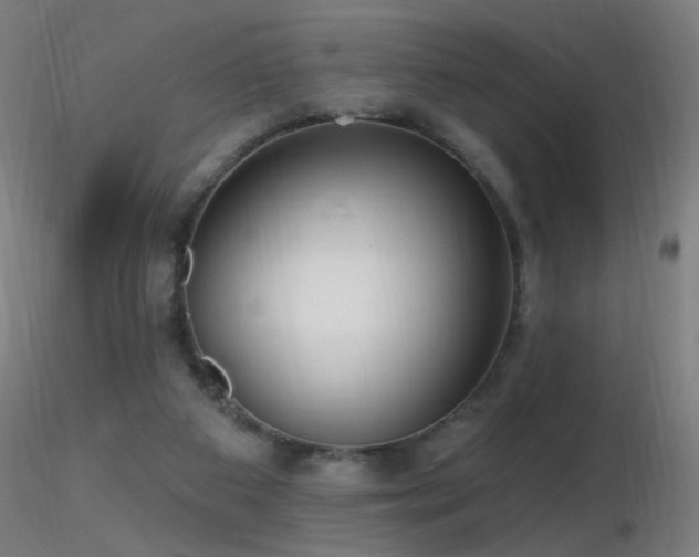 X0000116790113200912181303