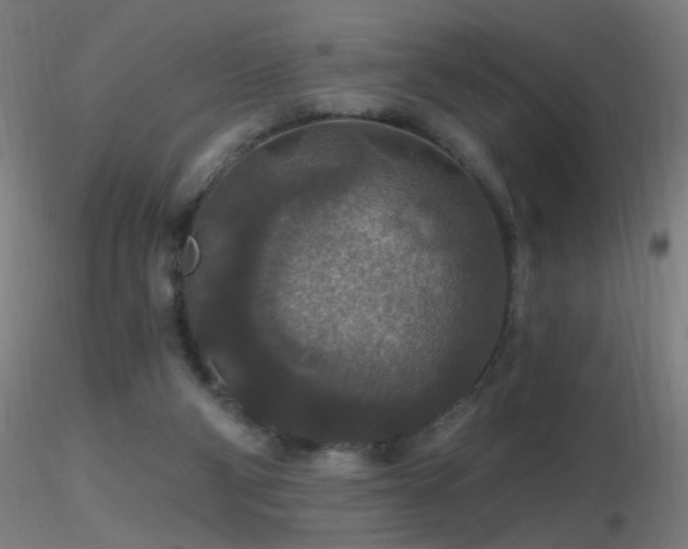 X0000116790114200912181303