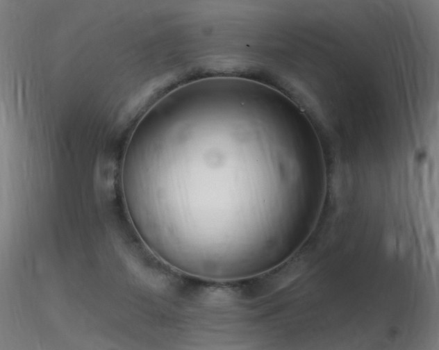 X0000116790115200912181303