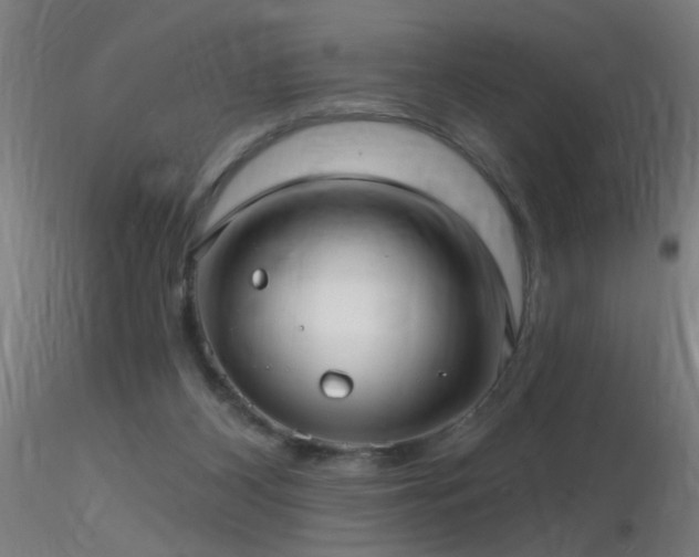 X0000116790116200912181303