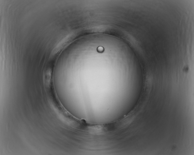 X0000116790118200912181303