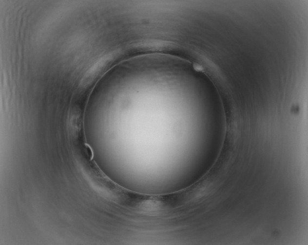 X0000116790119200912181303