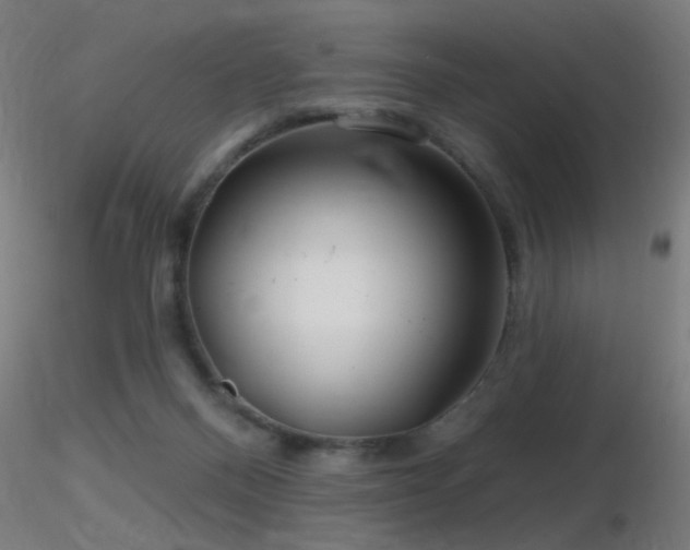 X0000116790120200912181303