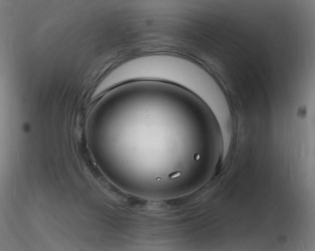 X0000116790121200912181303